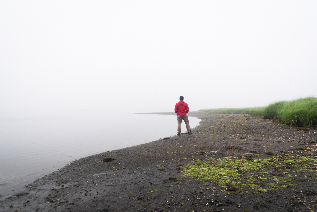 shooting in the fog